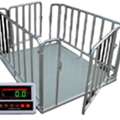 UGX 5000000,  Automated Cattle Scales Uganda