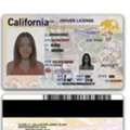 USD 8,  Driver&rsquo;s License Check API For Fast And Reliable Verification