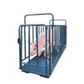 UGX 5000000,  Affordable Commercial Livestock Scales Uganda