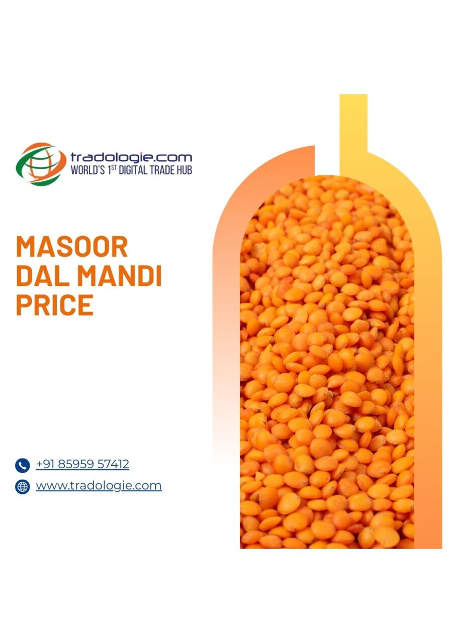 Lucknow, Food, INR 25,  Pulses Importers In India | Bulk Pulses Buyers & Suppliers