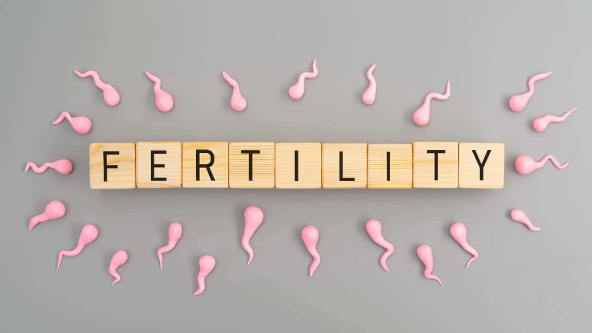 New Delhi, Health, Best Immune Fertility Testing In Delhi | Fertylity IVF