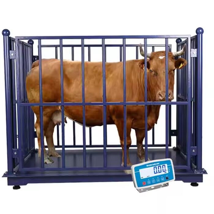 Kampala, Electronics, UGX 5000000,  Livestock Scale Supplier Kampala