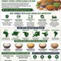 INR 25,  Rice Importers In Saudi Arabia | Bulk Rice Buyers &ndash; Tradologie