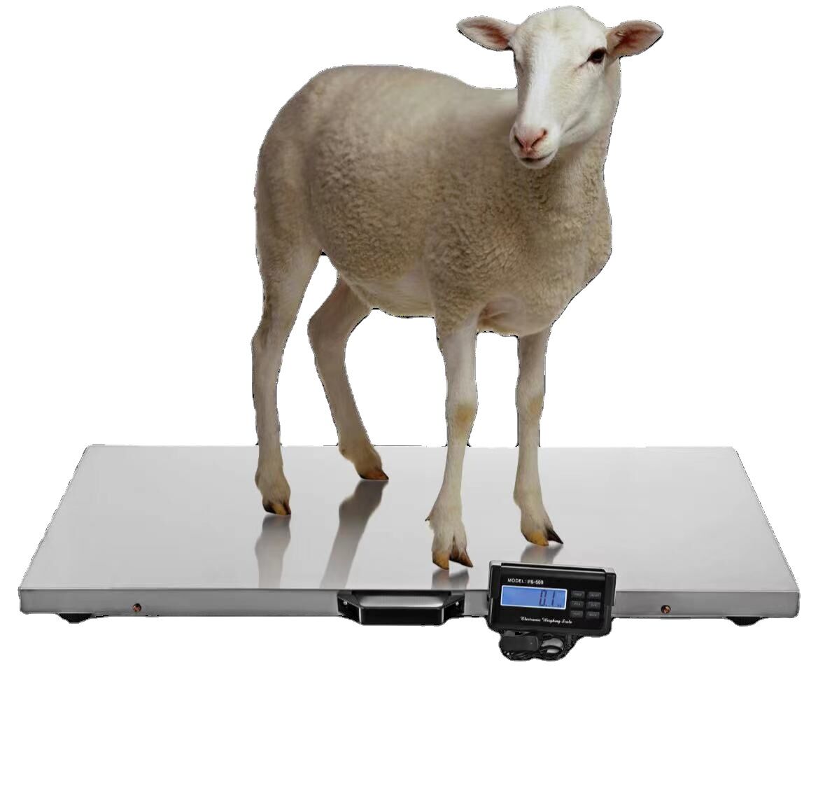 Kampala, Electronics, UGX 3500000,  Livestock Platform Scales Wandegeya
