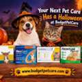 Your Next Pet Care Restock Has A Halloween Twist At BudgetPetCare 🎃🐾