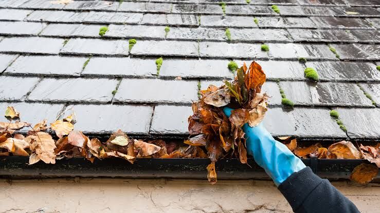 London, Cleaning, Best Gutter Cleaning Services To Keep Your Property Protected