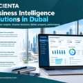 Data-Driven Reporting For Real Estate Business Growth