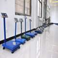 UGX 500000,  100kg Platform Scale At A Competitive Price In Uganda