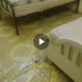 SAR 1000/month,  Furnished,  Excutive Bachelor Room For Rent