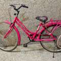 SAR 450,  3 Bicycles For 450SAR
