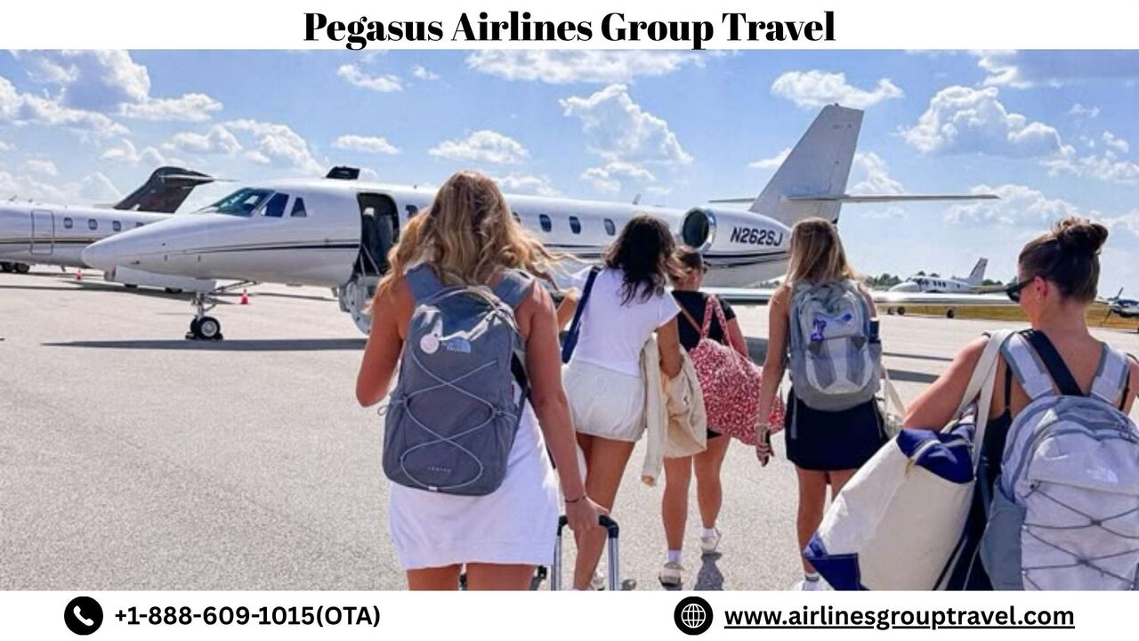 New York, Travel, How To Make A Group Flight On Pegasus Airlines?