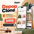 USD 490,  Can Zipprr's $490 Super App Launch Your Multi-Service Business?