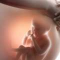 Best Child Specialist Doctor In East Delhi