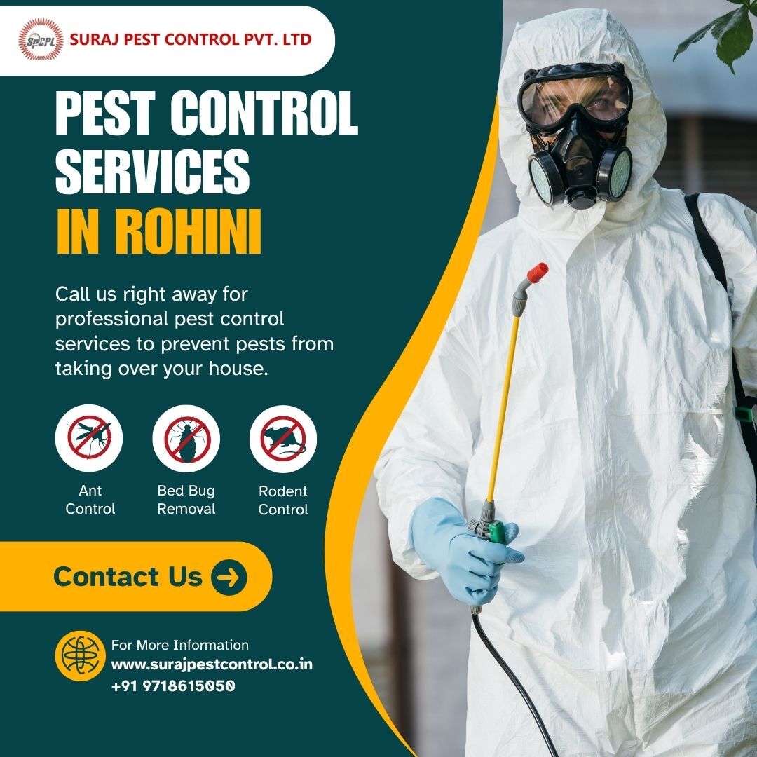 Rohini, Pest Control, Top-Rated Pest Control Services In Rohini Delhi
