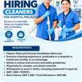 Hospital Cleaner