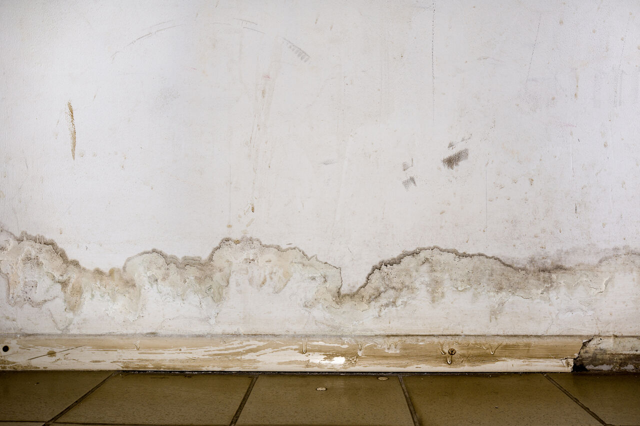 New York, Real Estate, Searching For Better Vinyl Drywall Alternatives? Visit Duramax