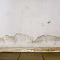 Searching For Better Vinyl Drywall Alternatives? Visit Duramax