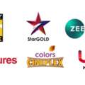 SAR 23,  🌍 TV CHANNELS | Hindi, Pakistan, Malayalam, Tamil, Etc& International Channels