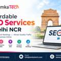 Affordable SEO Services In Delhi | SEO Packages Delhi NCR