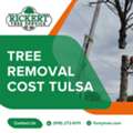 Understanding Tree Removal Cost In Tulsa &ndash; Rickert Landscaping & Tree Service