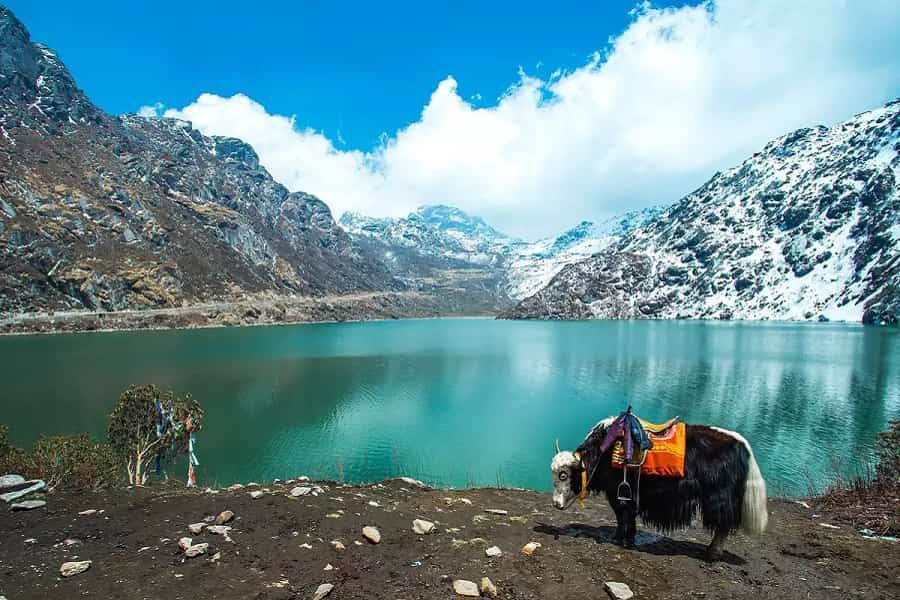 New Delhi, Travel, Darjeeling & Gangtok 4Nights 5 Days