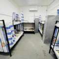 SAR 300400/month,  Only SAR 300/400 Month