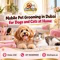 Professional Dog And Cat Grooming In Dubai