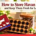 INR 300,  How To Store Havan Cups And Keep Them Fresh For Longer