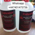 Caluanie