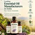 INR 999, Global Supply Essential Oil Manufacturers In India
