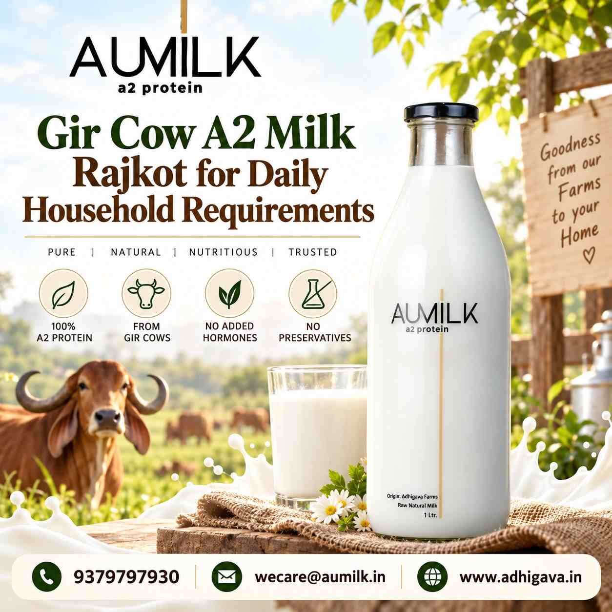 Ahmedabad, Food & Drink, Gir Cow A2 Milk Rajkot For Daily Household Requirements