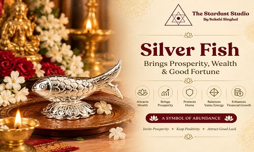 Gurgaon, Business, Buy Silver Fish (Chandi Ki Machli) Online At Best Price