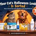 Your Cat&rsquo;s Halloween Look Is Sorted Now Check The Care Basket At BudgetPetCare