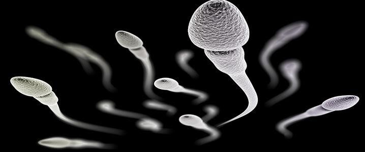 New Delhi, Health, Percutaneous Epididymal Sperm Aspiration Delhi | Fertylity IVF Care