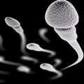 Percutaneous Epididymal Sperm Aspiration Delhi | Fertylity IVF Care
