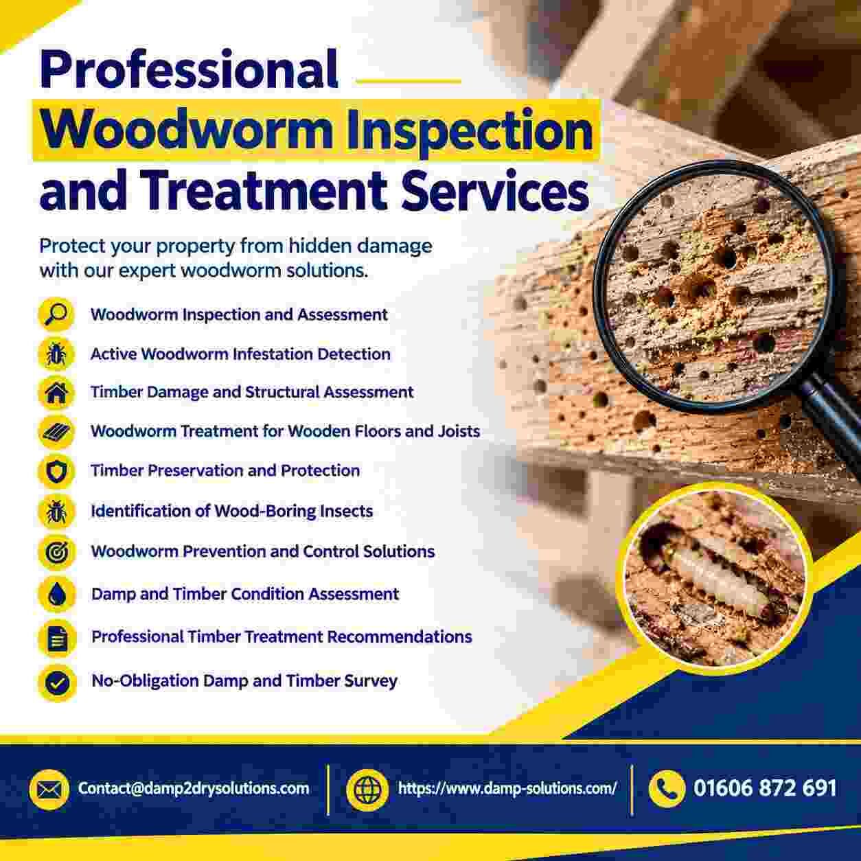 London, Household, Reliable Woodworm Inspection And Timber Preservation