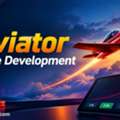 USD 1000,  How Does Aviator Game Development Integrate Crash Game Mechanics?