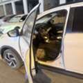 SAR 2500,  Toyota Rush,  2022,  Automatic,  20000 KM,  Family SUV Car For Rent Out