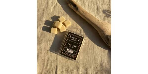 New York, Appliances, USD 4,  Harbor Light Wax Melts | Amber & Sandalwood Scent