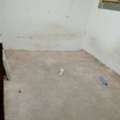 SAR 250/month,  Bed Space And Single Room Also