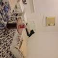SAR 1800/month,  4 BR,  Full Furnished Flat For Sale For Family