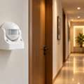 180° Infrared PIR Motion Sensors: Coverage & Outdoor Uses