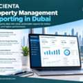 Property Management Reporting For Budget Control In Dubai