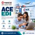 ACE EDI Integration Services For Efficient Retail Operations