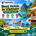 Best Hotels In Vietnam Top Beach Resorts Luxury & Budget Stays Tripnestify