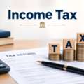 How Can Professional Income Tax Services Help You Manage Tax Compliance And Disputes?