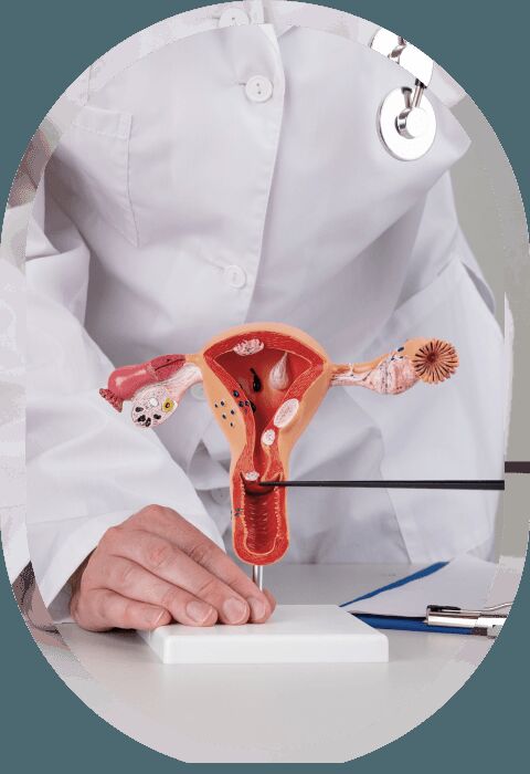 Ahmedabad, Health, Gynecologist & IVF Specialists In Ahmedabad &ndash; Sunflower Hospital