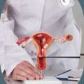 Gynecologist & IVF Specialists In Ahmedabad &ndash; Sunflower Hospital