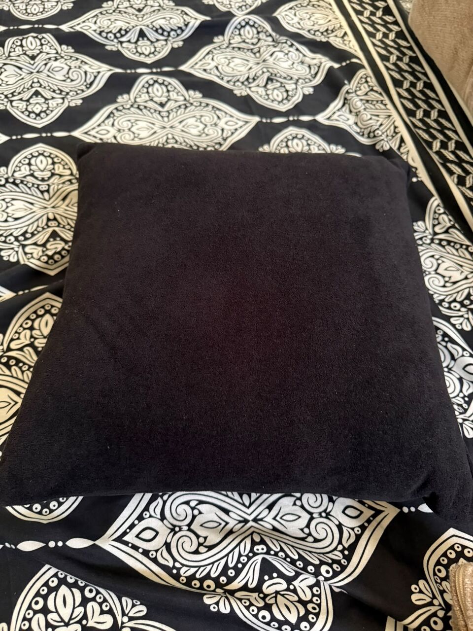 Hara, Furniture, SAR 50,  Sofa Cushions