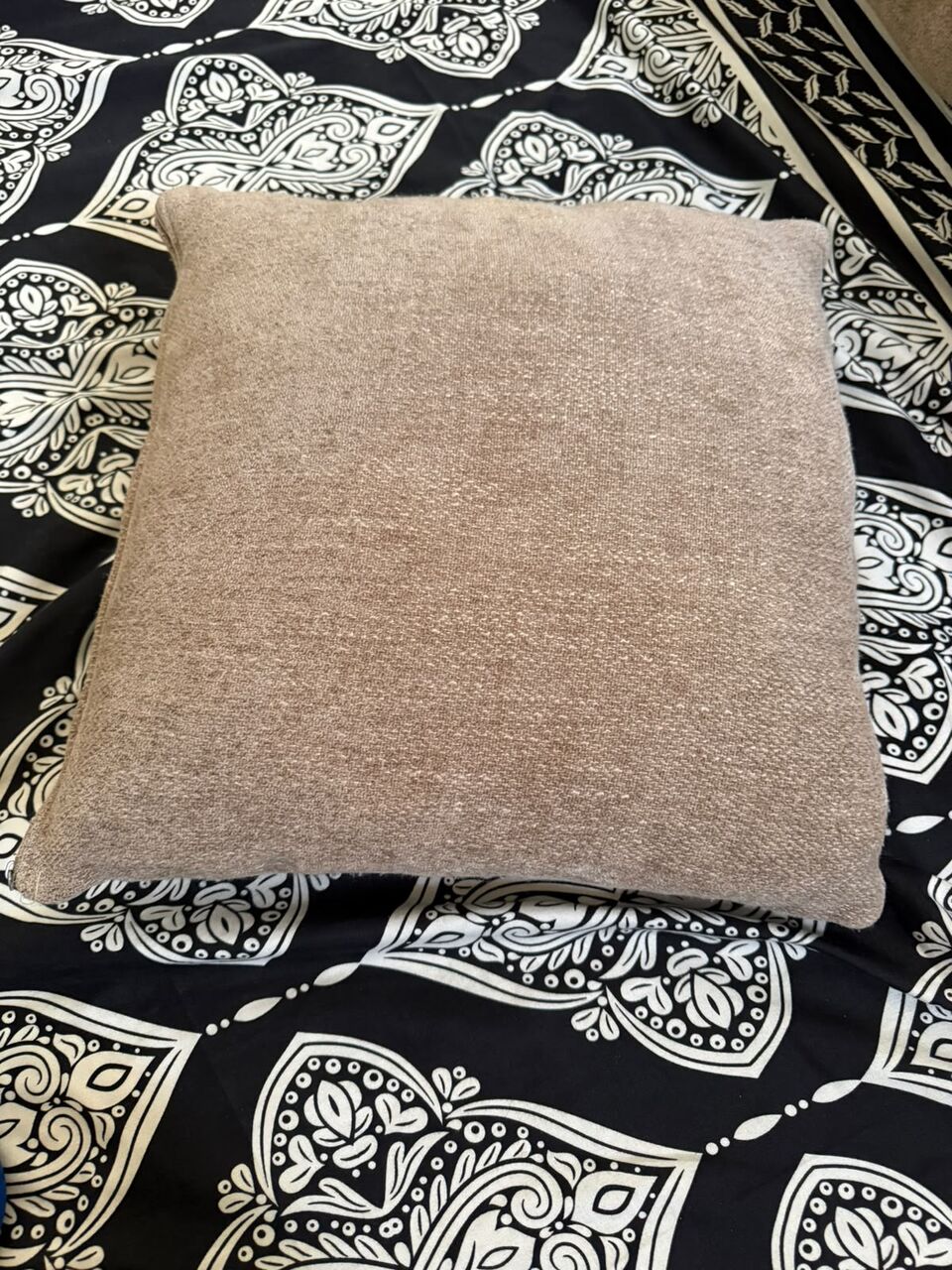 Hara, Furniture, SAR 50,  Sofa Cushions